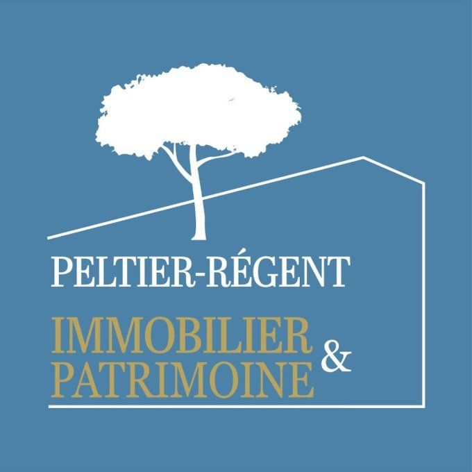 Immobilier & Patrimoine 