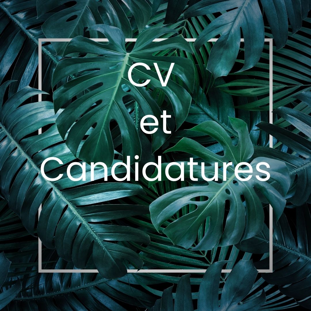 CV & Candidatures